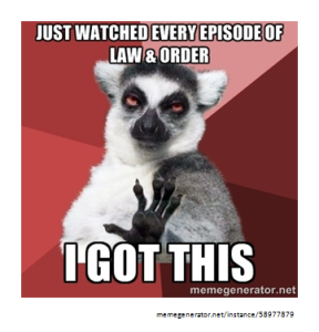 Real Life Law and Order Image FINAL 6 July 2105